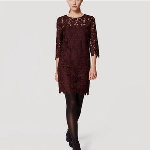 NWT Loft lace 3/4 sleeve sheath mini burgundy